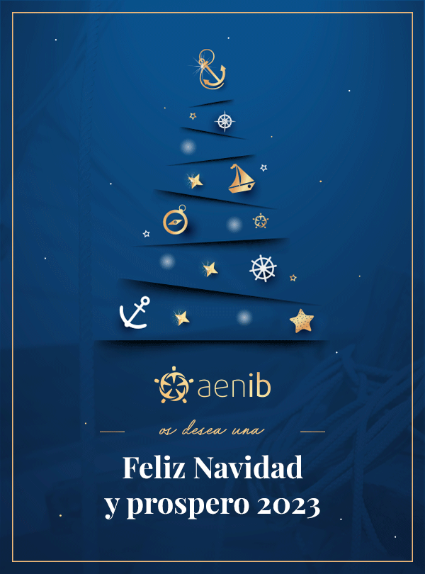 AENIB wishes you Merry Christmas and a happy 2023